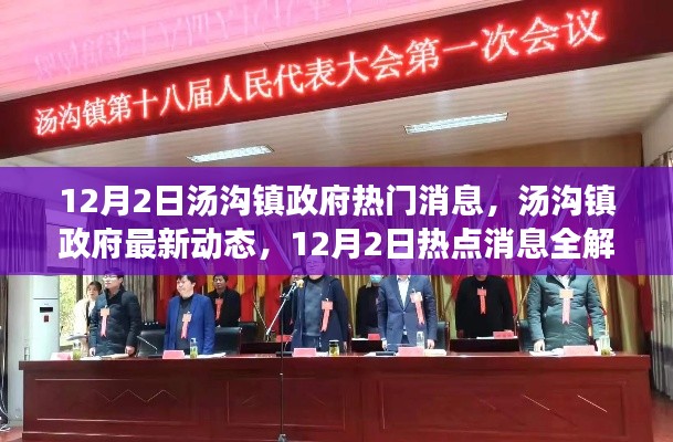 汤沟镇政府最新动态及热点消息全解析(12月2日)