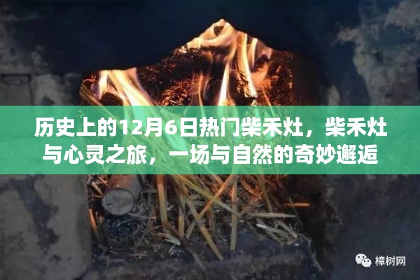 箪瓢陋室 第2页