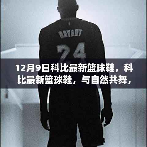 科比最新篮球鞋,与自然共舞,探寻内心的宁静之旅——12月9日新品发布