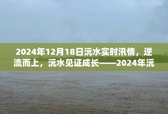 眉清目秀 第2页