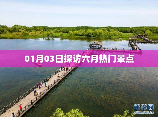 笔走龙蛇