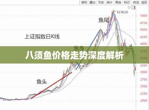 八须鱼价格走势深度解析