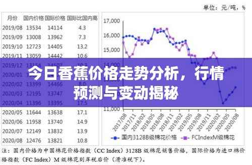 今日香蕉价格走势分析,行情预测与变动揭秘
