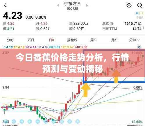 今日香蕉价格走势分析,行情预测与变动揭秘