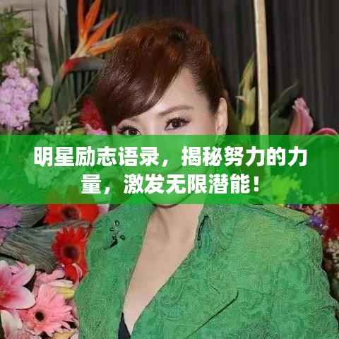 明星励志语录，揭秘努力的力量，激发无限潜能！