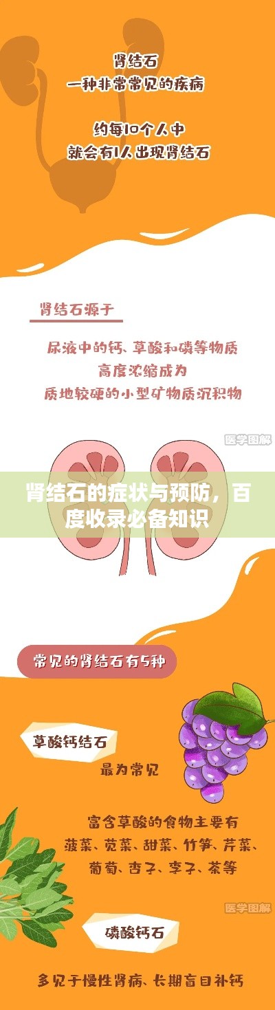 肾结石的症状与预防，百度收录必备知识
